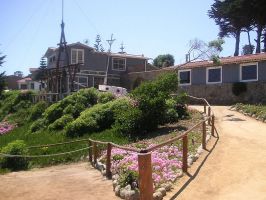 isla negra b04