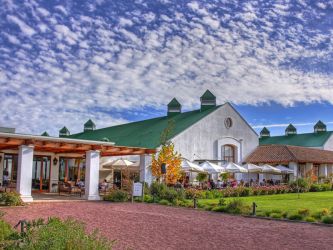 vinedo casas el bosque